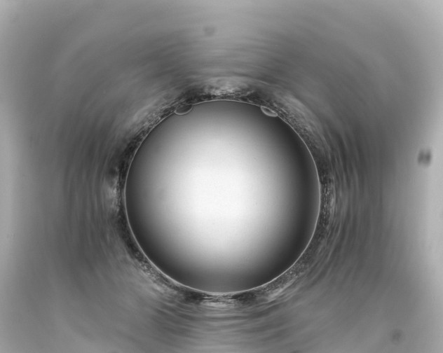 X0000094200510200711021055
