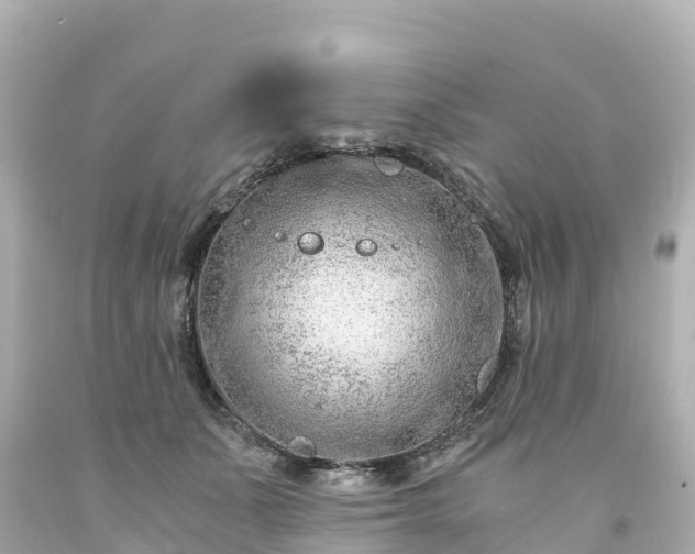 X0000094200511200711021055