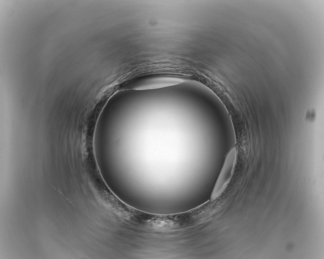 X0000094200512200711021055