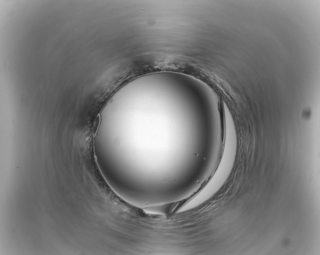 X0000094200513200711021055