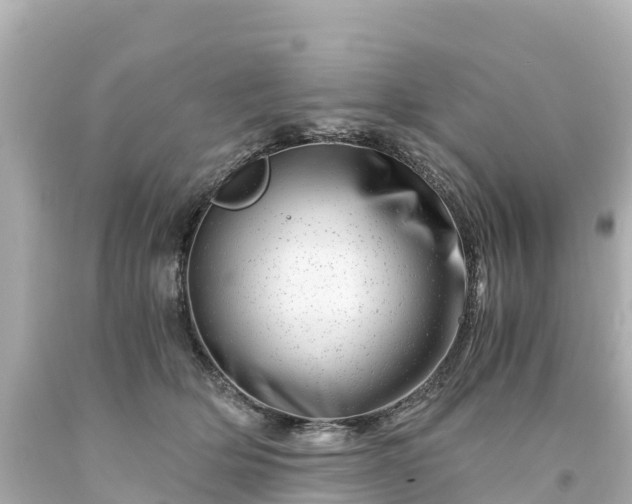 X0000094200514200711021055