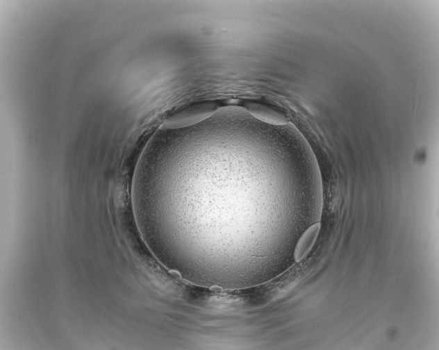 X0000094200515200711021055