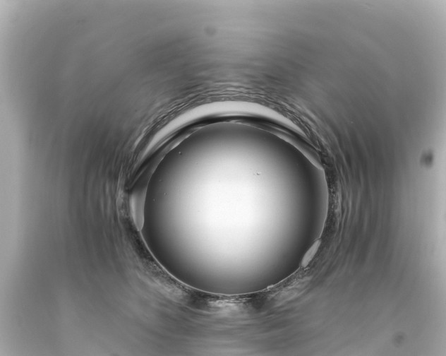 X0000094200516200711021055