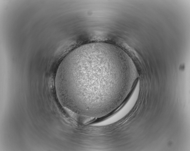 X0000094200517200711021055