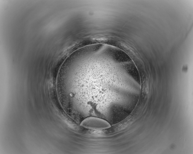 X0000094200518200711021055