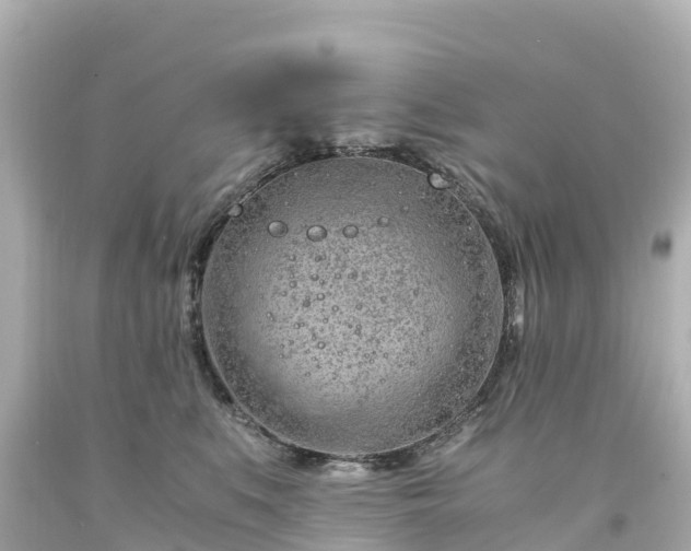 X0000094200519200711021055