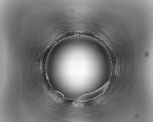 X0000094200520200711021055