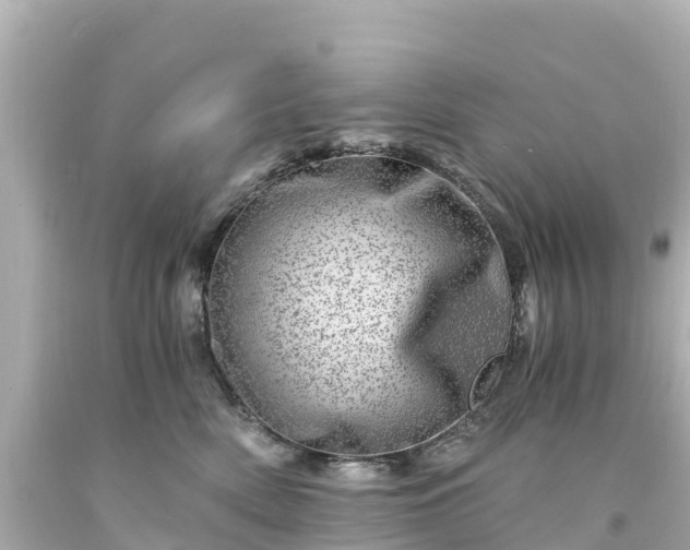 X0000094200522200711021055