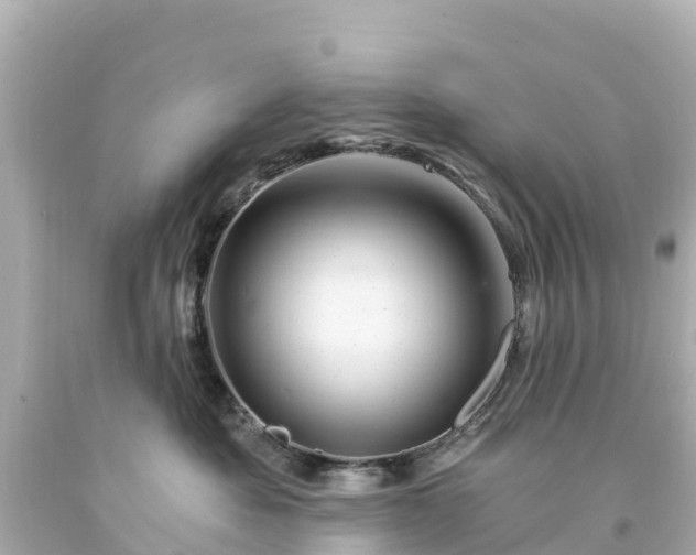 X0000094200525200711021055