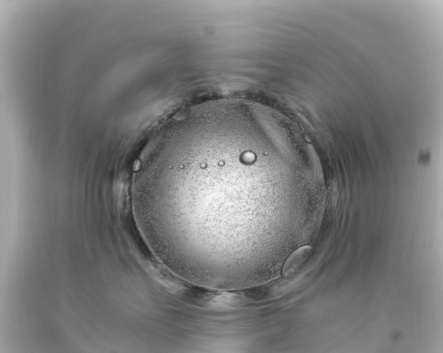 X0000094200527200711021054