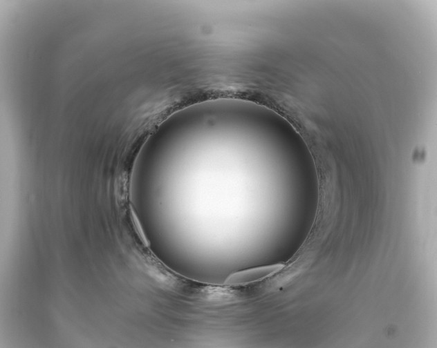 X0000094200528200711021054