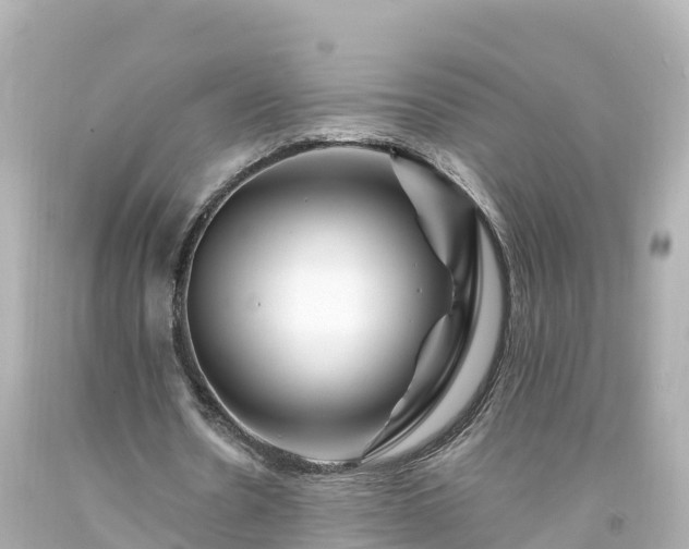 X0000094200530200711021054