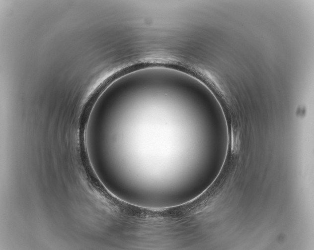 X0000094200531200711021054