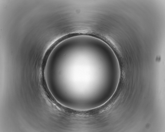 X0000094200532200711021054