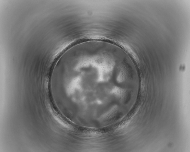 X0000094200533200711021054