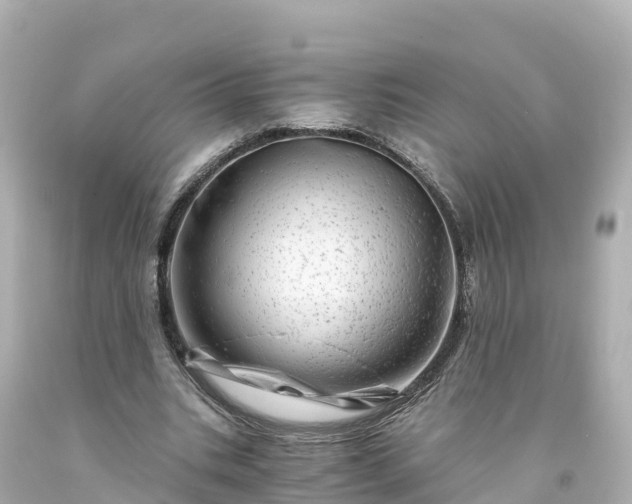 X0000094200535200711021054