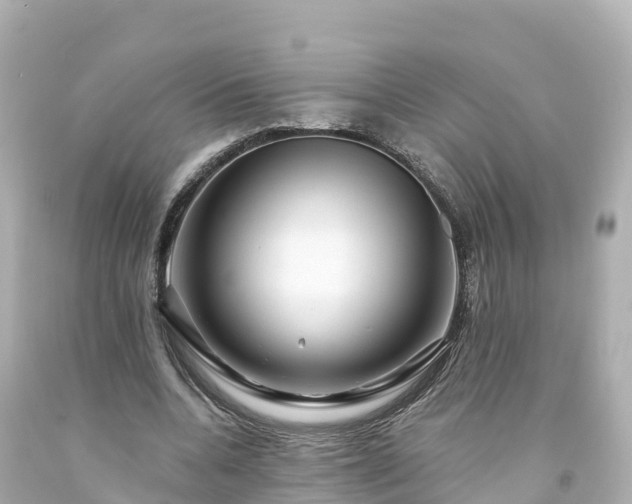 X0000094200536200711021054
