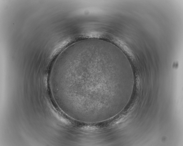 X0000094200537200711021054
