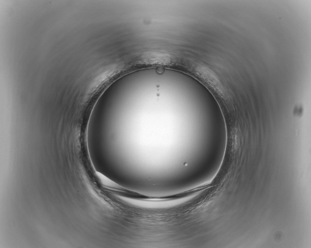 X0000094200538200711021054
