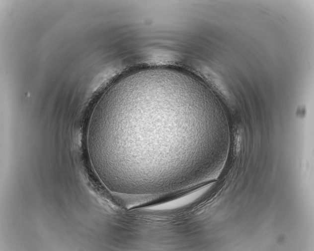 X0000094200539200711021054