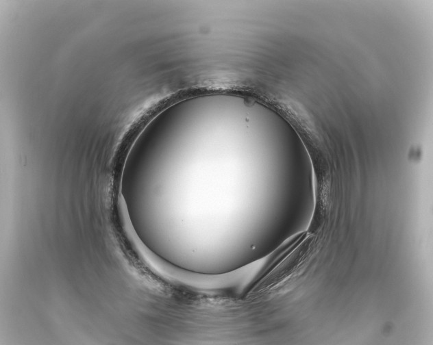 X0000094200540200711021054