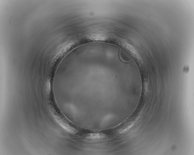 X0000094200541200711021054