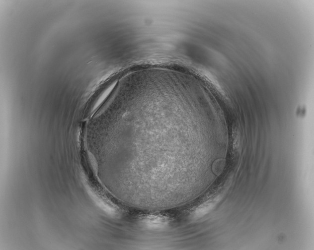 X0000094200542200711021054