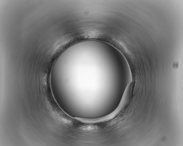 X0000094200543200711021054