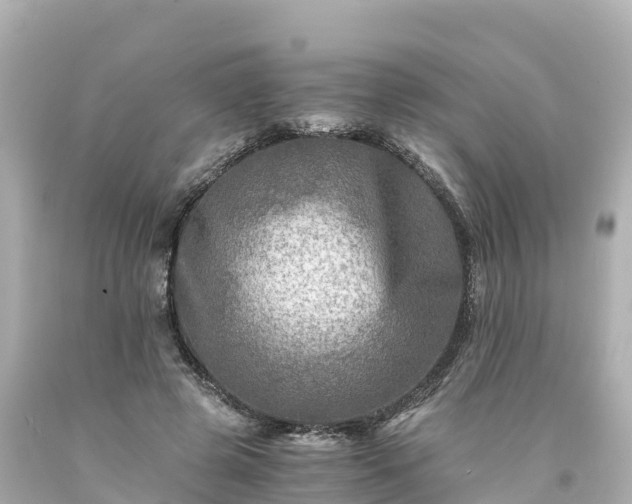 X0000094200545200711021054