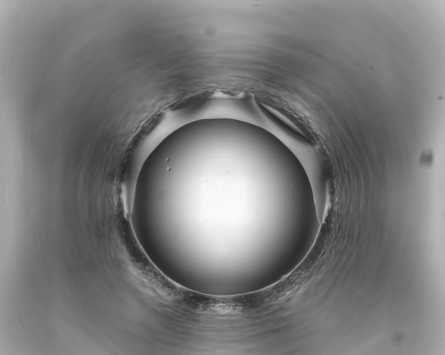 X0000094200546200711021054