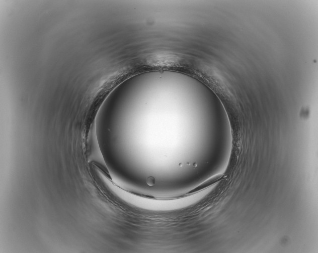 X0000094200547200711021054