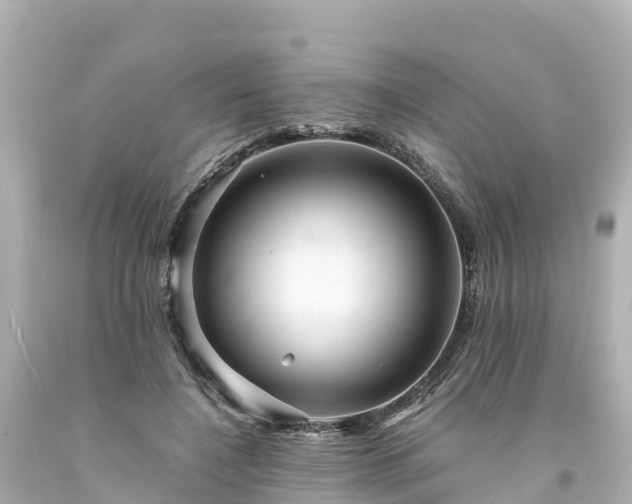 X0000094200548200711021054