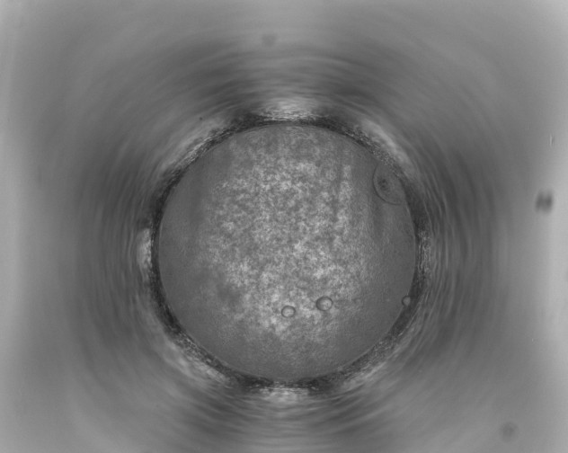 X0000094200549200711021054