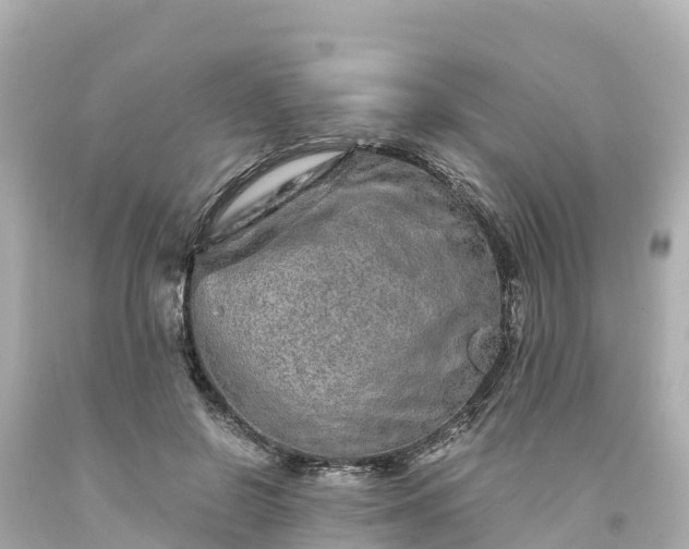 X0000094200550200711021054