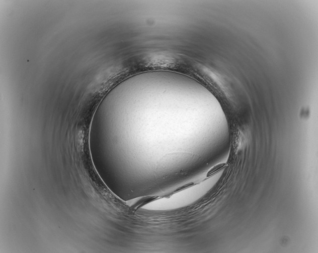 X0000094200551200711021054
