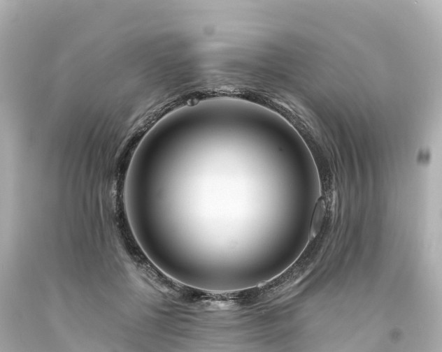 X0000094200552200711021054