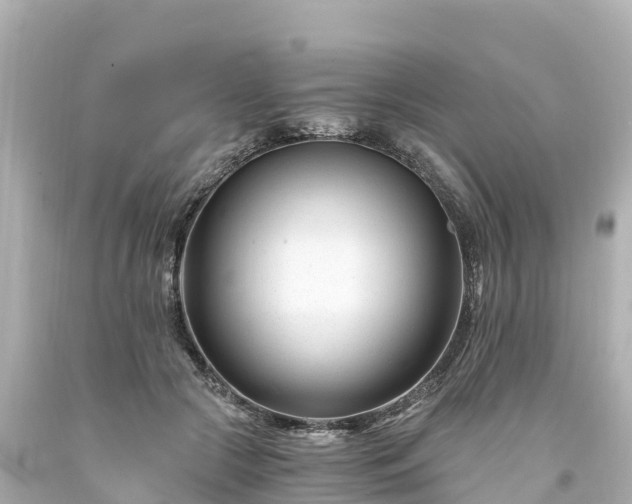 X0000094200553200711021054