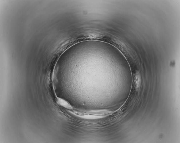 X0000094200554200711021054