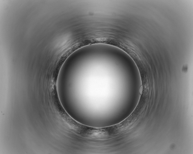 X0000094200555200711021054