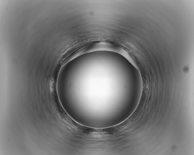 X0000094200556200711021054