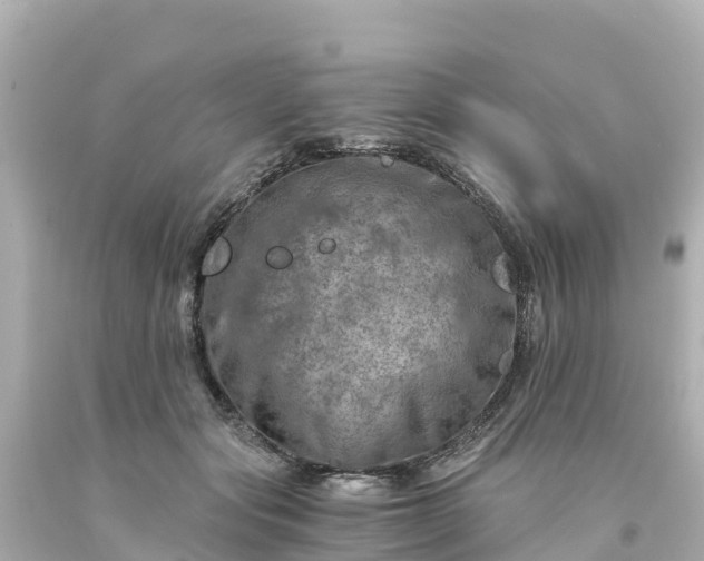 X0000094200557200711021054