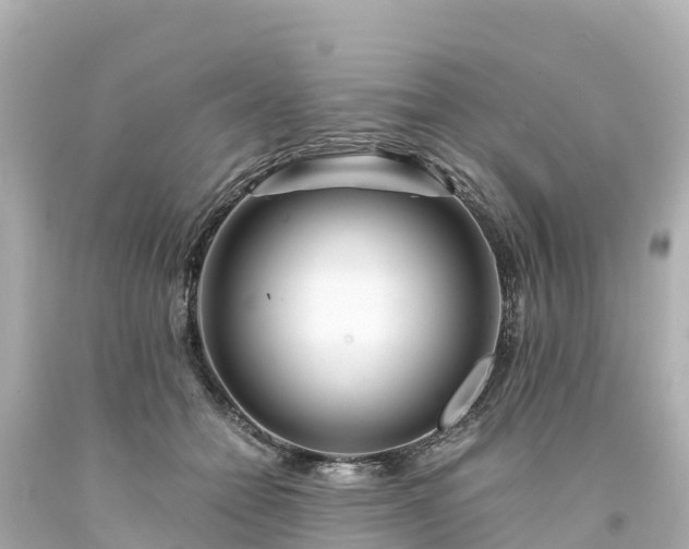 X0000094200558200711021054