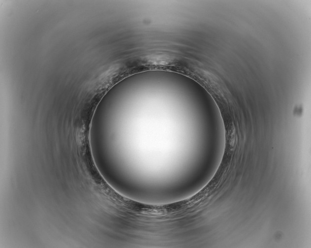 X0000094200559200711021054