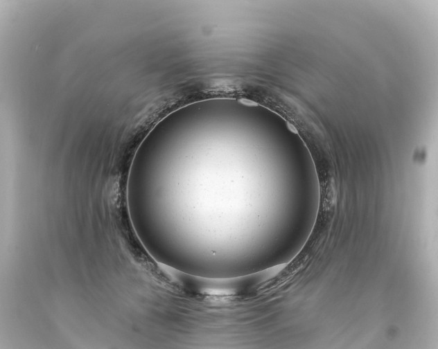 X0000094200560200711021054