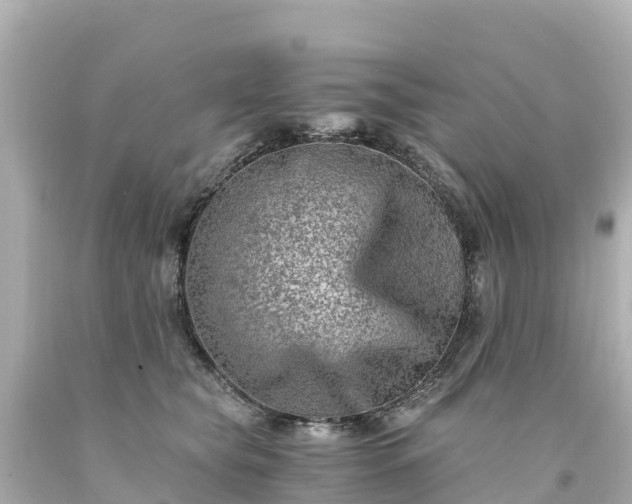 X0000094200565200711021054