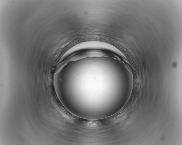 X0000094200566200711021054