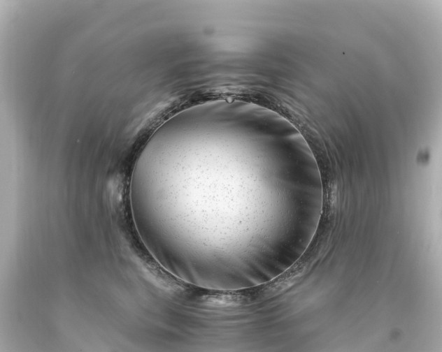 X0000094200567200711021054