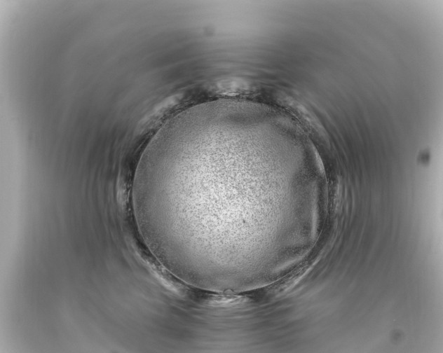 X0000094200569200711021054