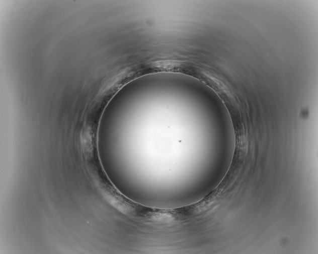X0000094200572200711021054