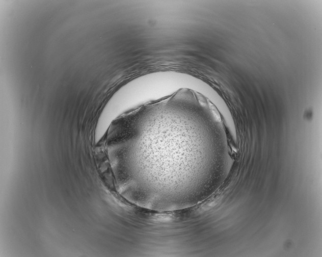 X0000094200574200711021054